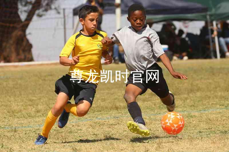 尊龙凯时官网
