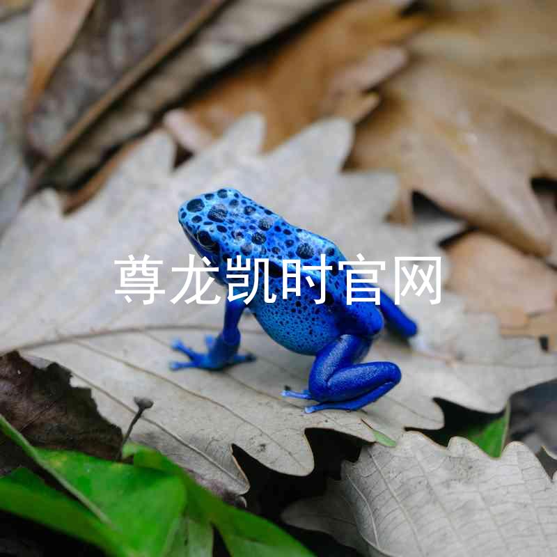 尊龙凯时官网